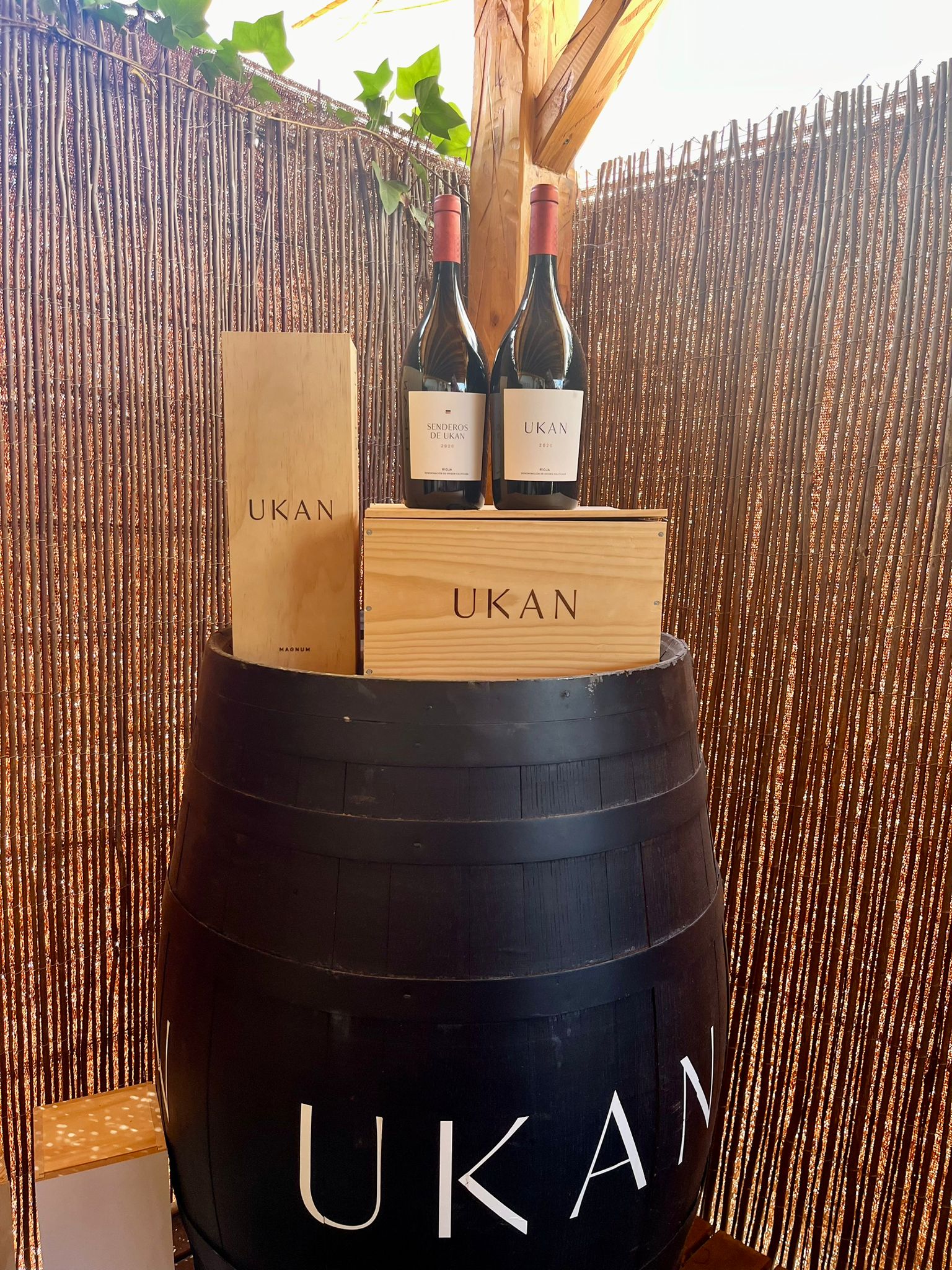 Meet UKAN: The Next Generation of Rioja Excellence