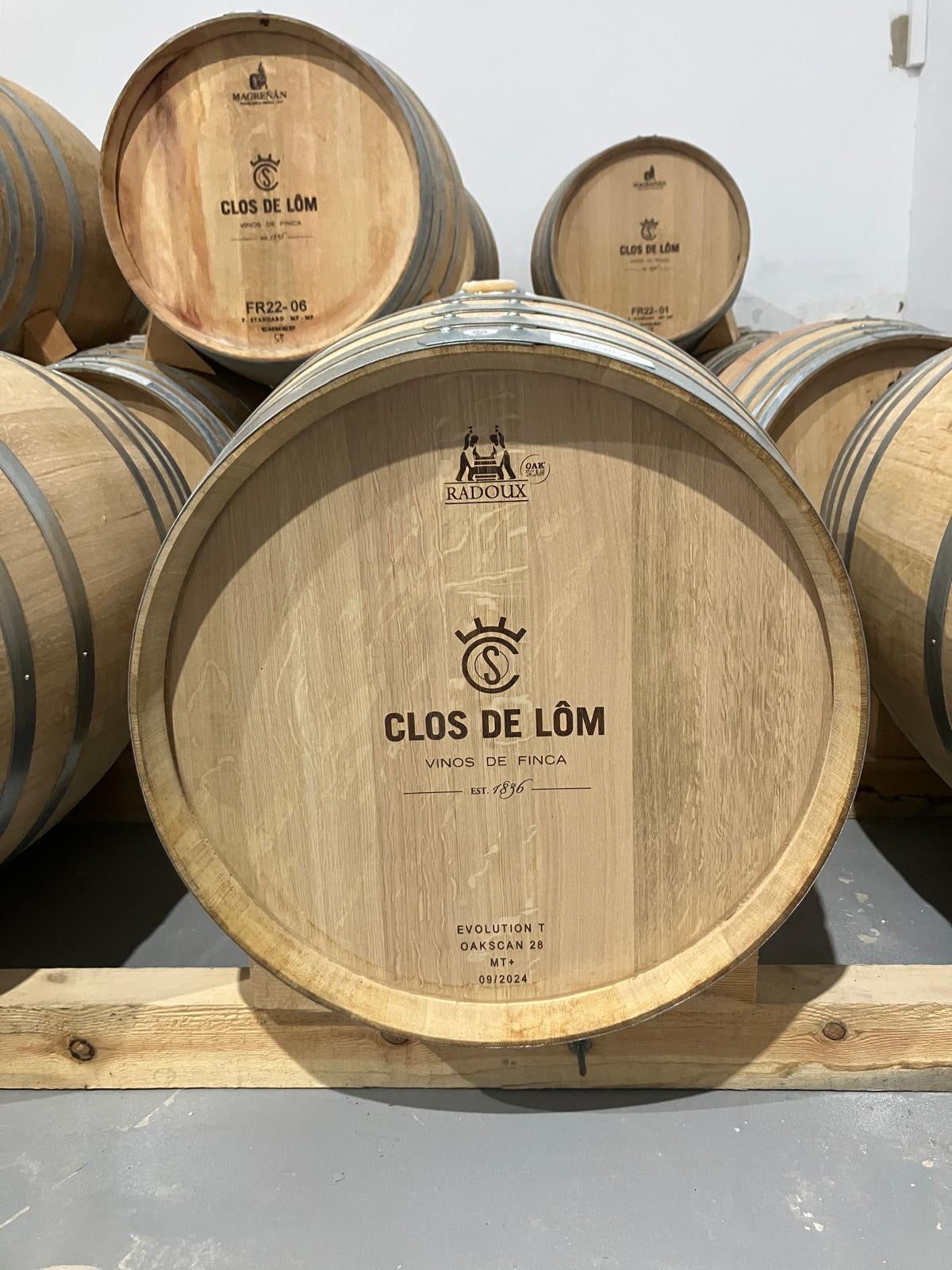 Exploring Clos de Lom: A Mediterranean Gem